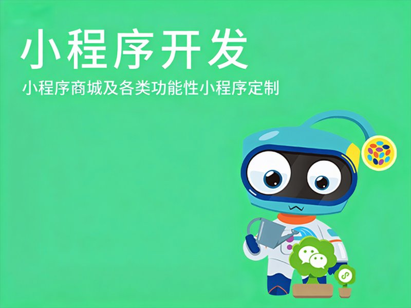 网站定制开发：让企业形象飞得更高